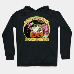 put the candy in the bag - WPH MEDIA Hoodie